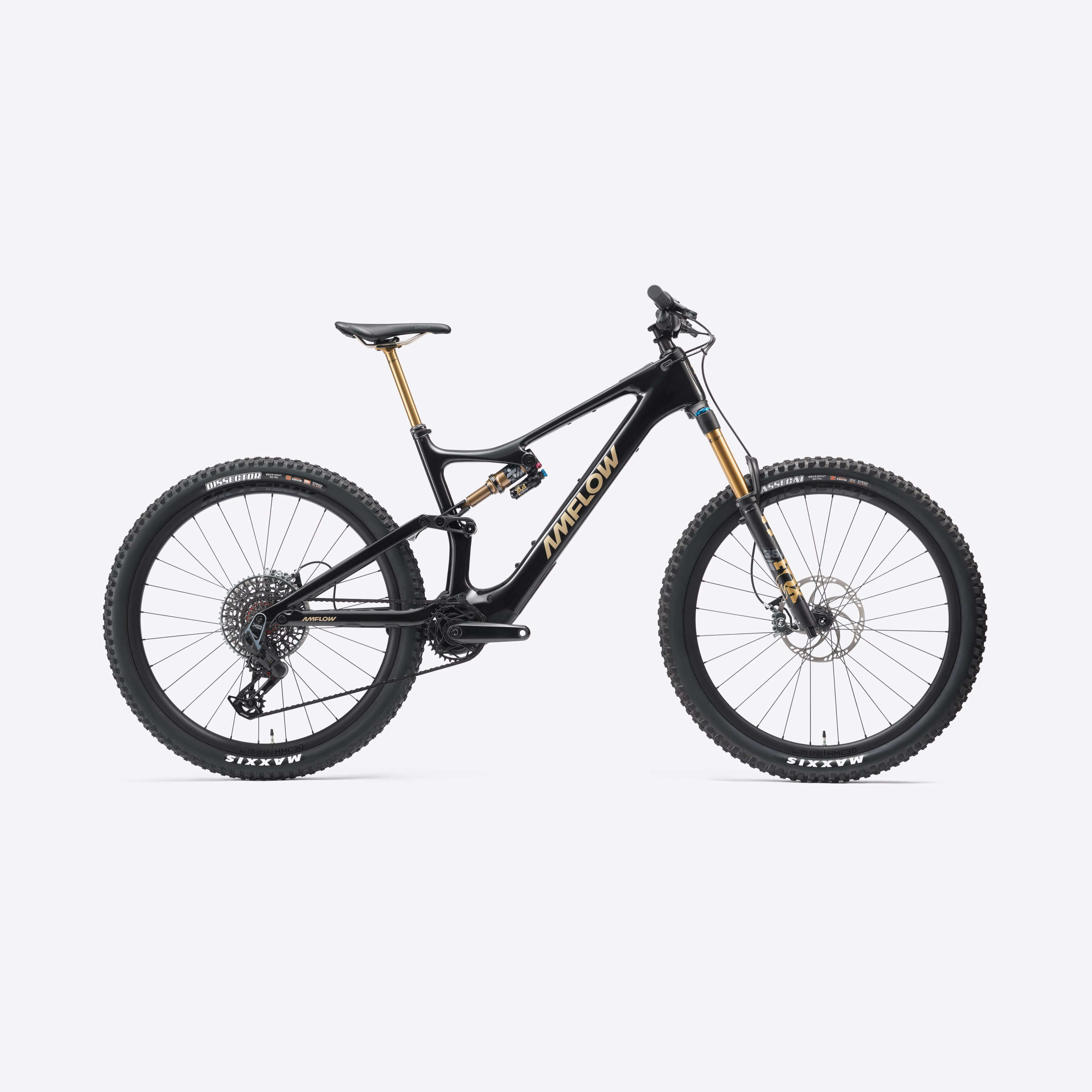 PL Carbon Pro (600 Wh)